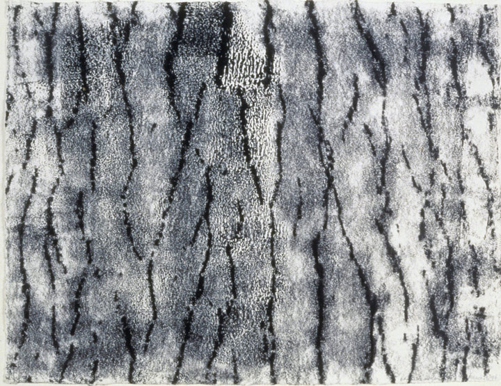 Tree 4
